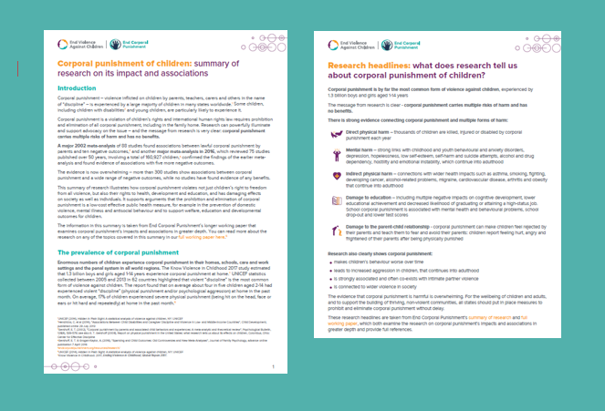 research summary pic